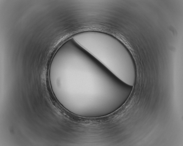 X0000113550434200909181002