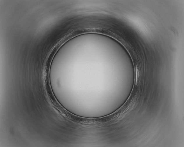 X0000113550435200909181002