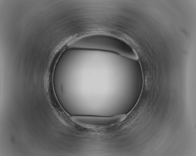 X0000113550436200909181002