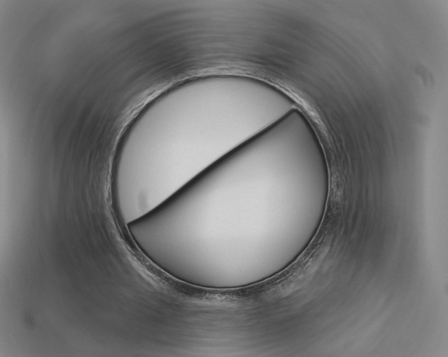 X0000113550437200909181002