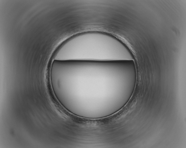 X0000113550439200909181002