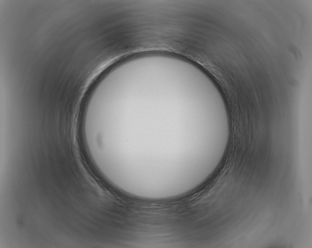 X0000113550440200909181002