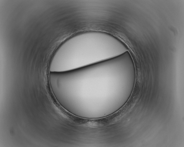 X0000113550441200909181002