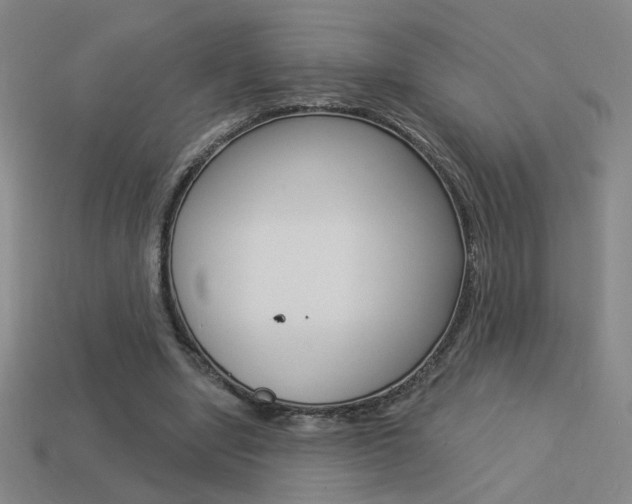 X0000113550442200909181002