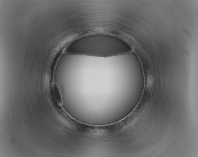X0000113550444200909181002