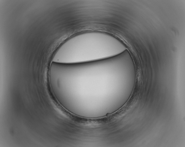 X0000113550445200909181002