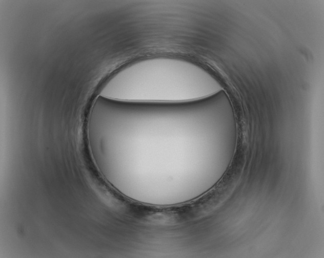 X0000113550447200909181002