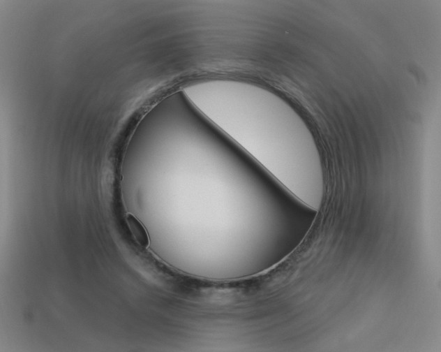 X0000113550448200909181002