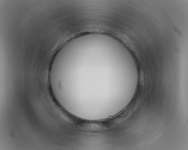 X0000113550449200909181002