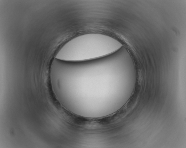 X0000113550451200909181002