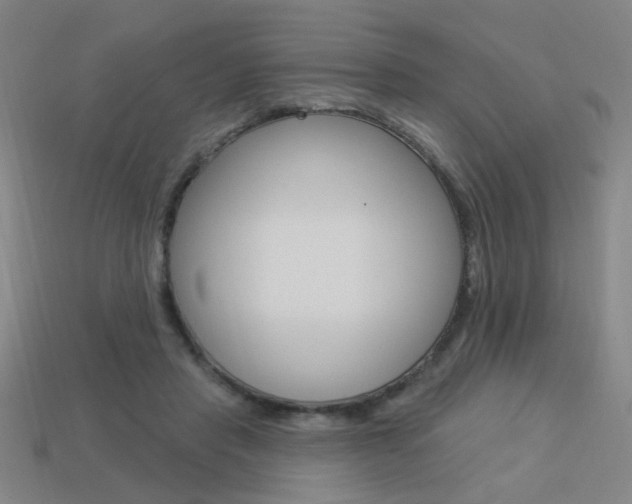 X0000113550453200909181002
