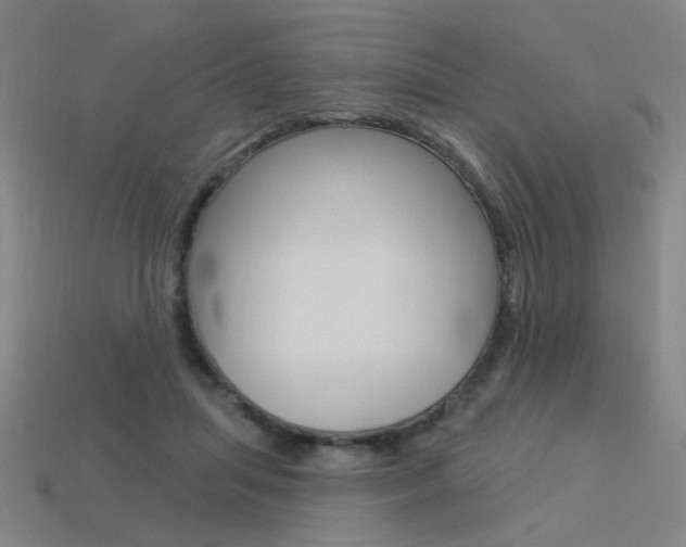 X0000113550455200909181003