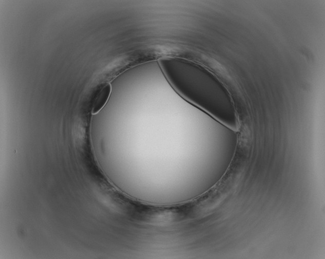 X0000113550456200909181003