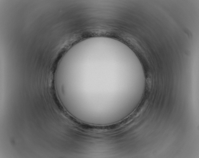 X0000113550458200909181003