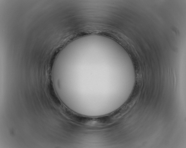 X0000113550460200909181003