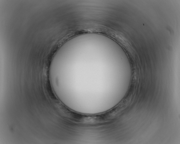X0000113550461200909181003