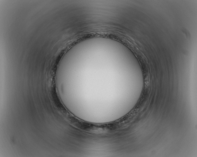 X0000113550464200909181003