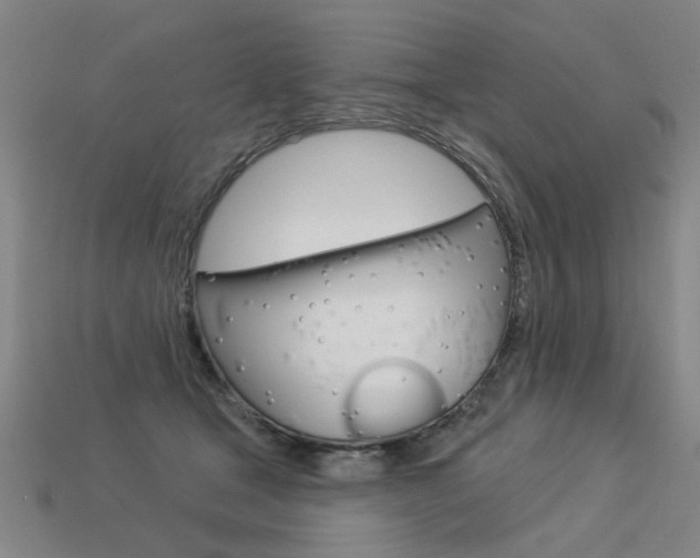 X0000113550465200909181003