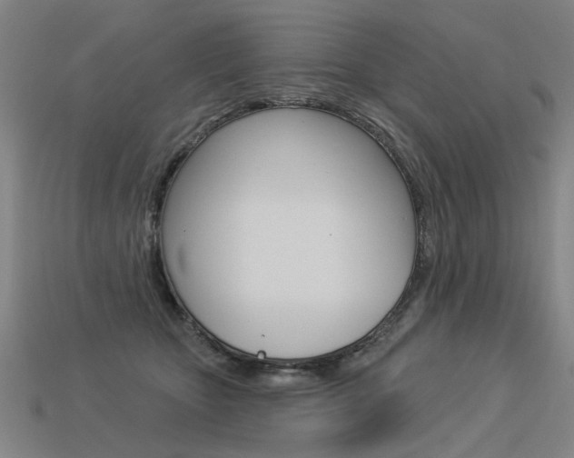 X0000113550467200909181003