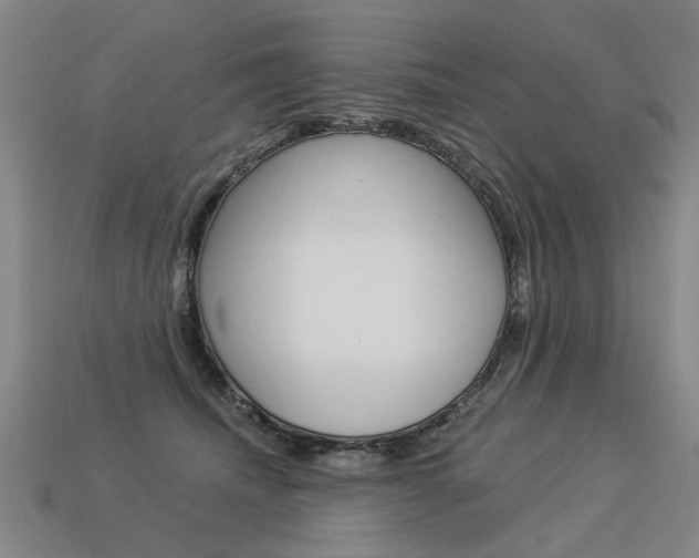 X0000113550468200909181003