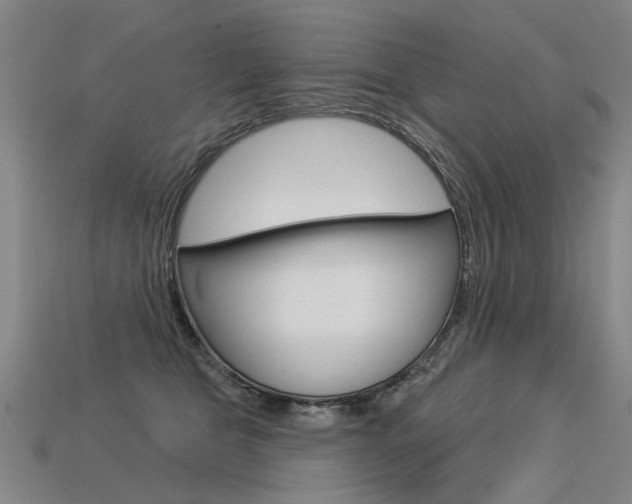 X0000113550469200909181003