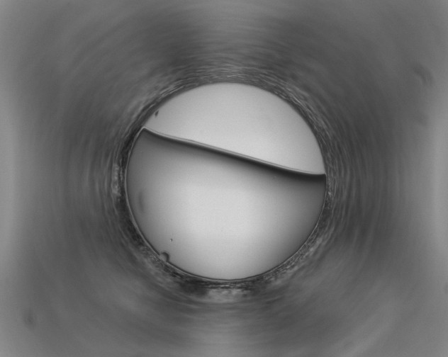X0000113550470200909181003