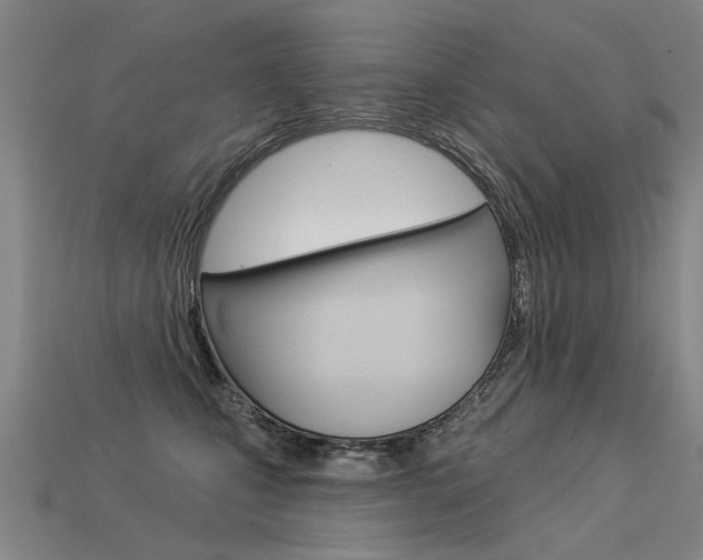 X0000113550471200909181003