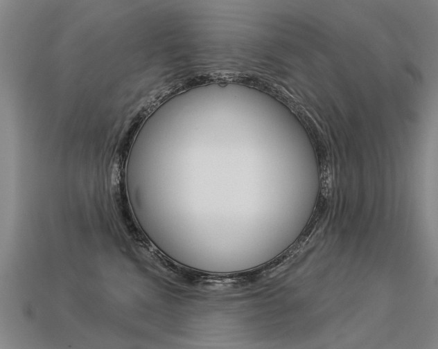 X0000113550472200909181003