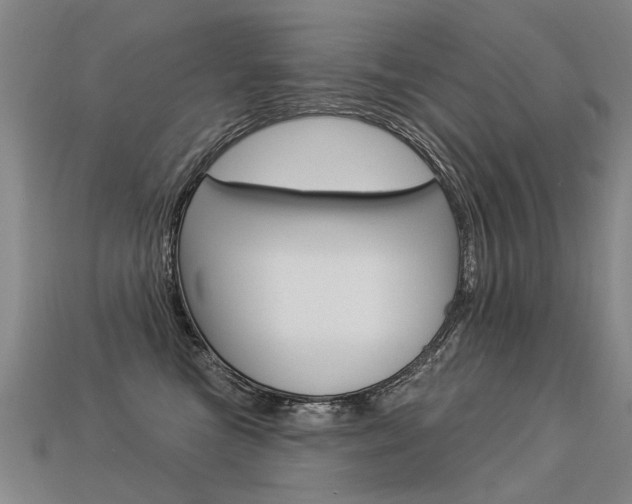 X0000113550473200909181003