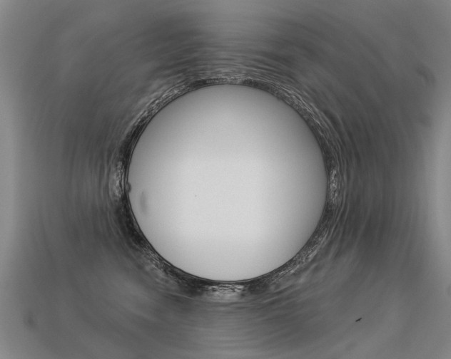 X0000113550474200909181003