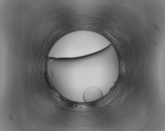X0000113550475200909181003