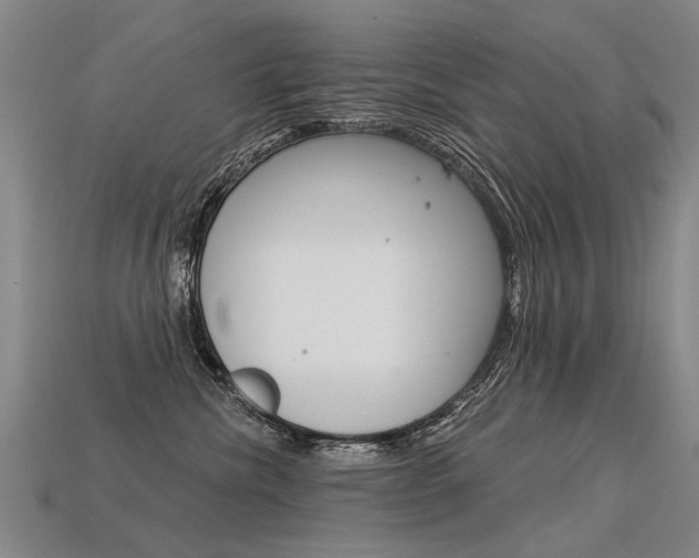 X0000113550476200909181003