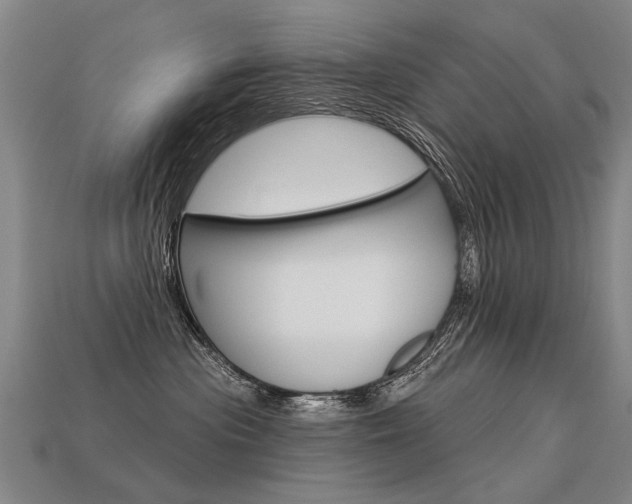 X0000113550477200909181003