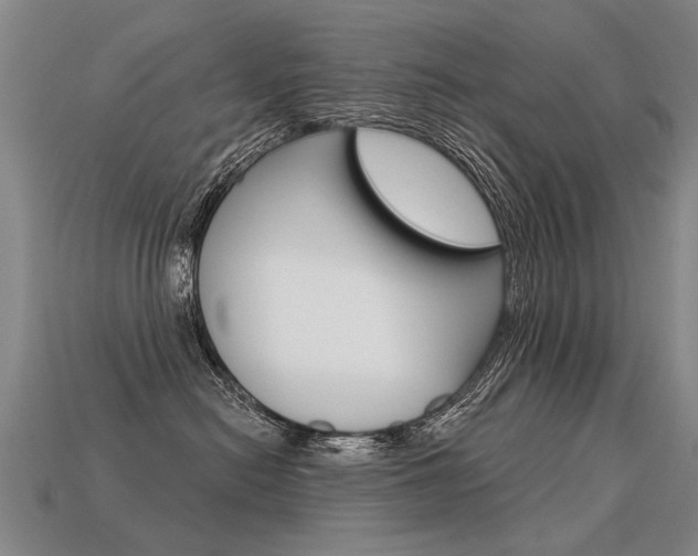 X0000113550478200909181003