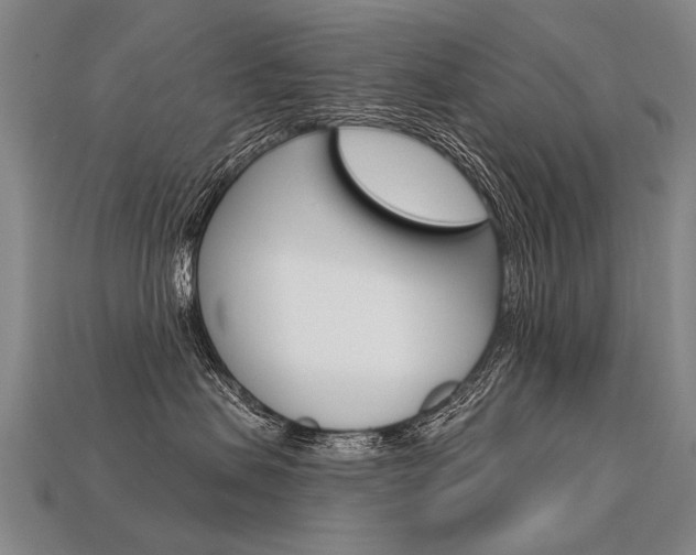 X0000113550479200909181003