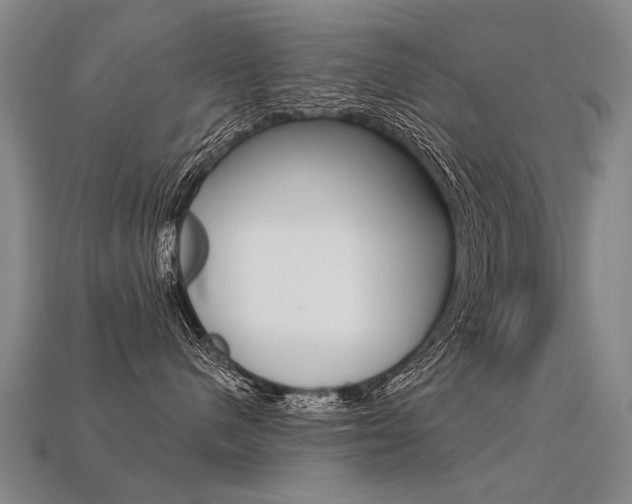 X0000113550480200909181003