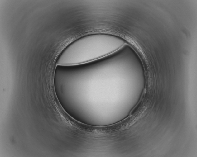 X0000113550481200909181002