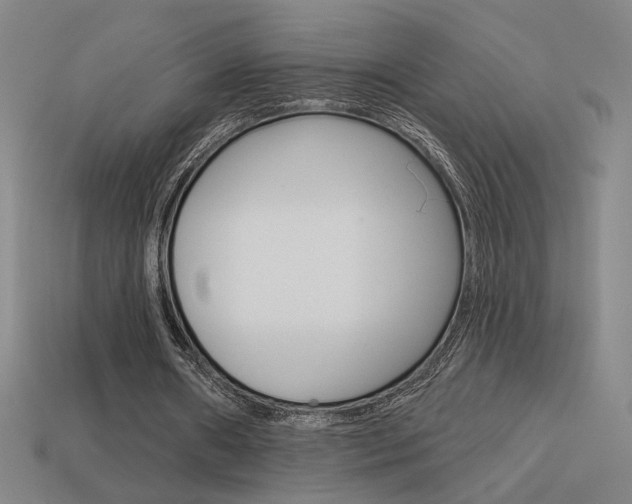 X0000113550482200909181002