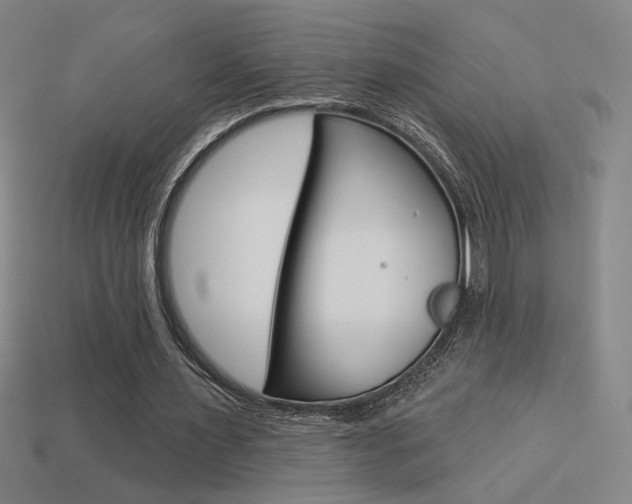 X0000113550483200909181002