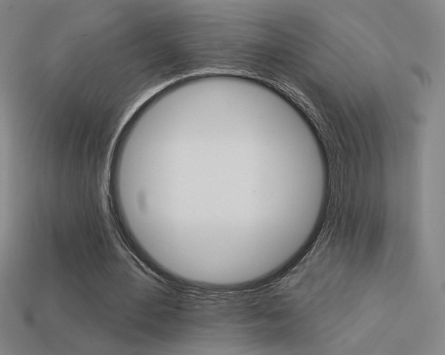 X0000113550484200909181002