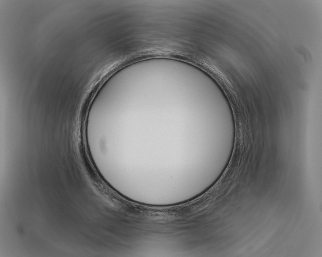 X0000113550486200909181002