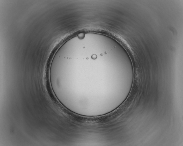 X0000113550487200909181002