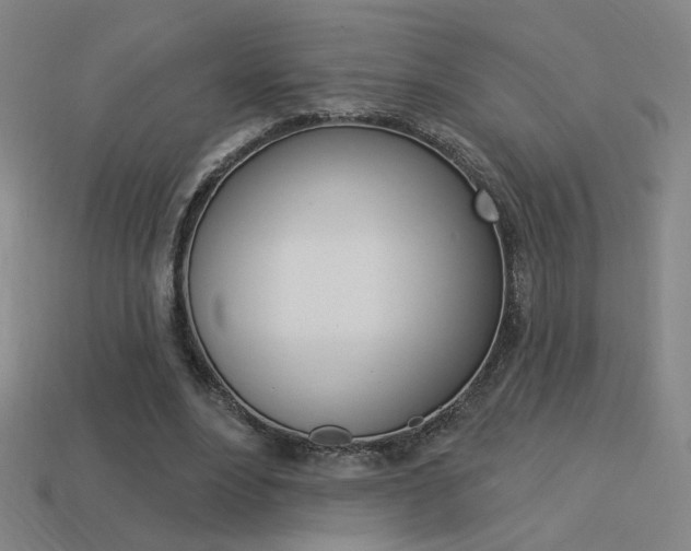 X0000113550488200909181002