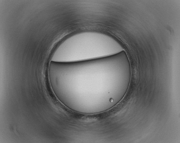 X0000113550491200909181002