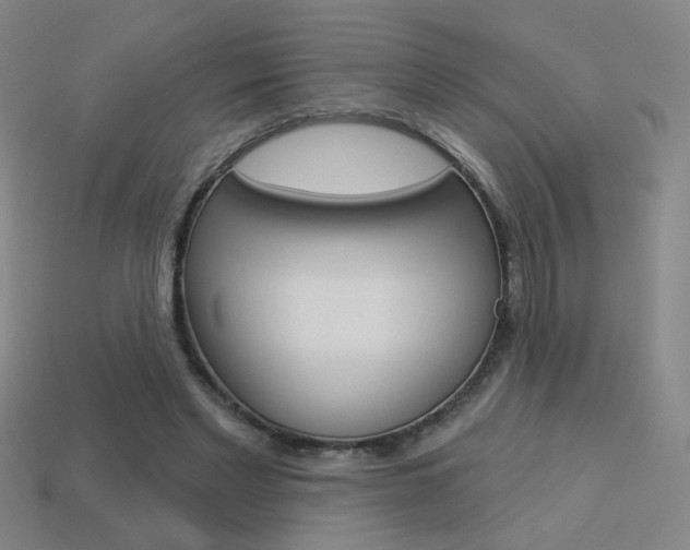 X0000113550493200909181002