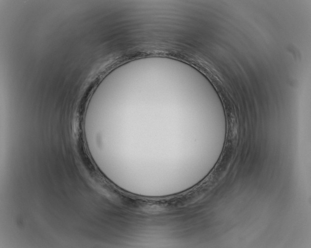 X0000113550494200909181002