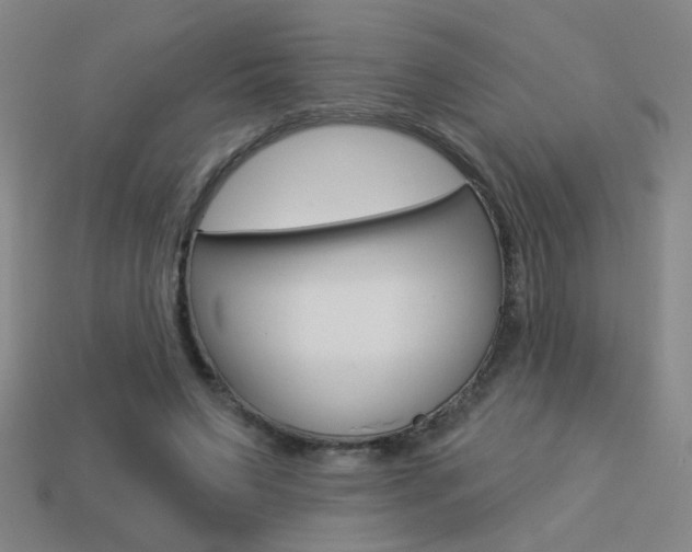 X0000113550495200909181002
