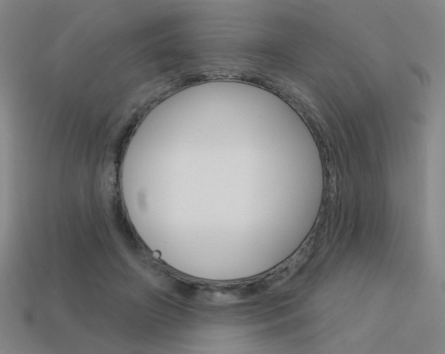 X0000113550498200909181002