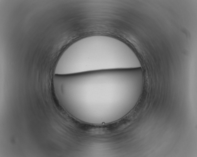 X0000113550499200909181002
