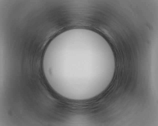 X0000113550500200909181002